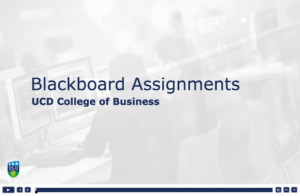 Blackboard Assignments