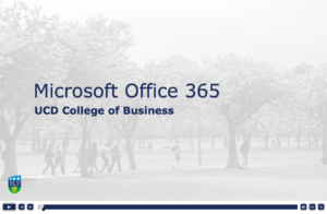 MS Office 365